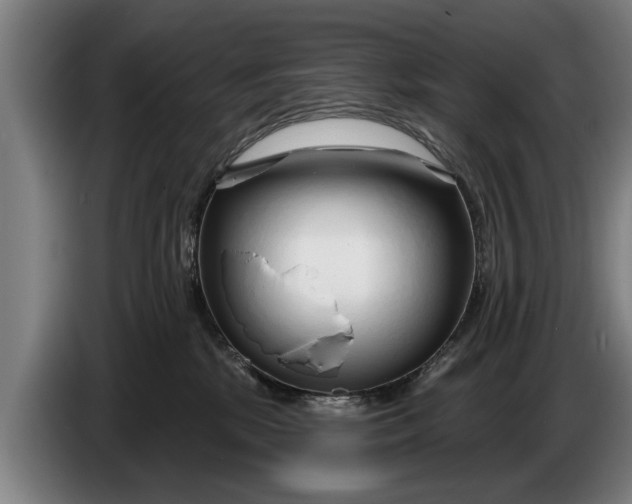 X0000086320281200704202028