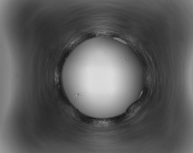 X0000086320282200704202028