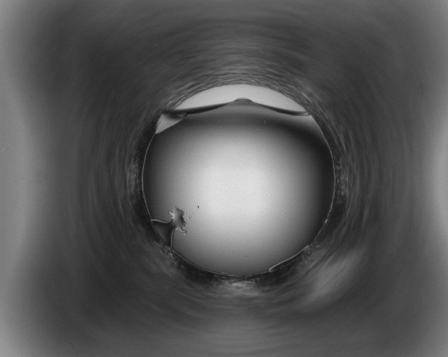 X0000086320283200704202028