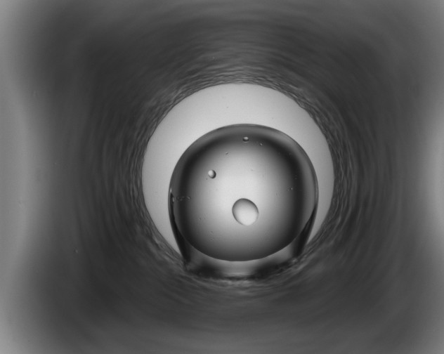X0000086320284200704202028
