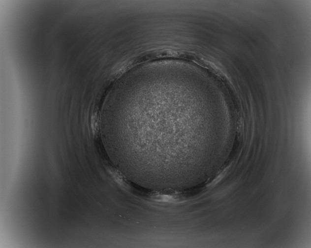 X0000086320285200704202028