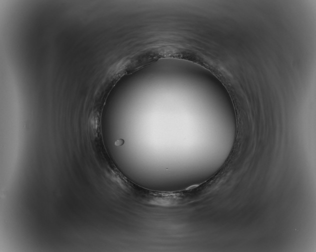 X0000086320288200704202028