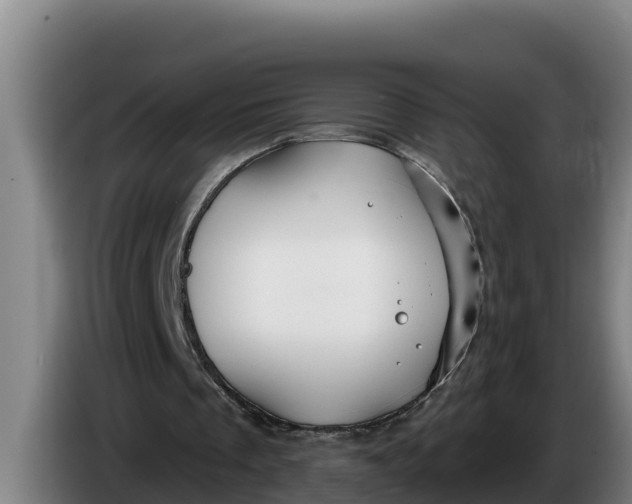 X0000086320289200704202027