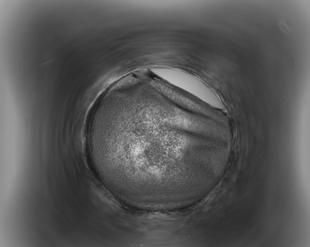 X0000086320290200704202027
