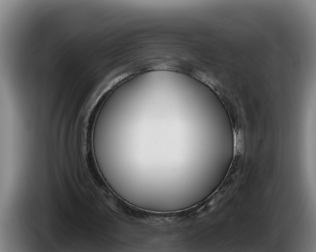 X0000086320291200704202027