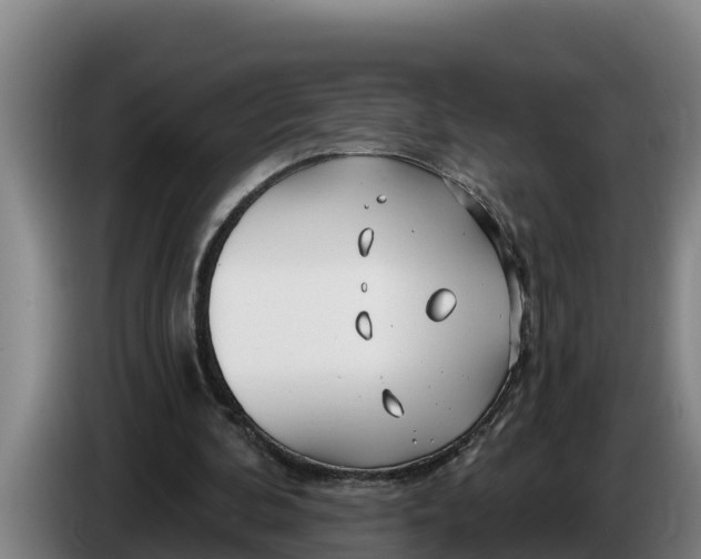 X0000086320292200704202027