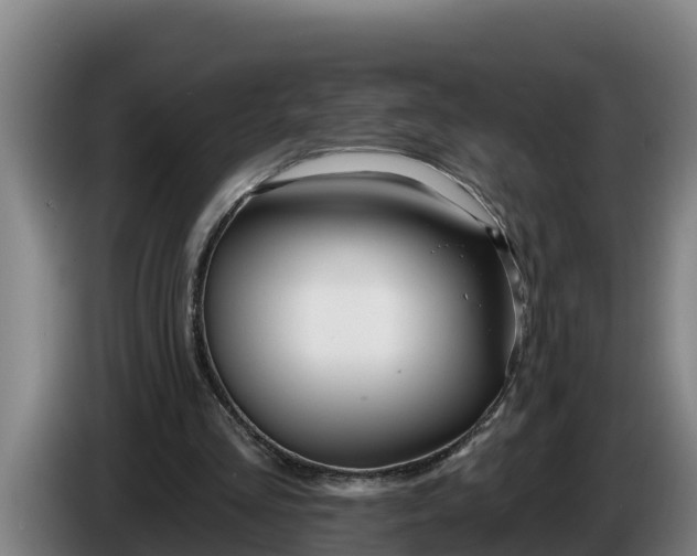 X0000086320293200704202027
