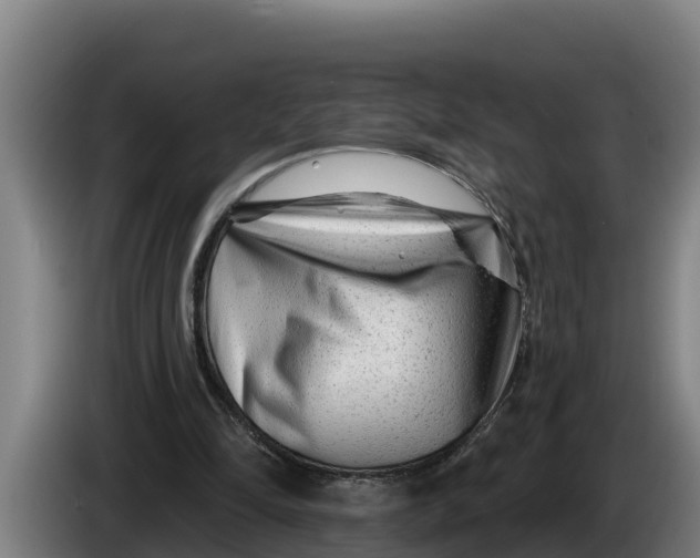 X0000086320294200704202027