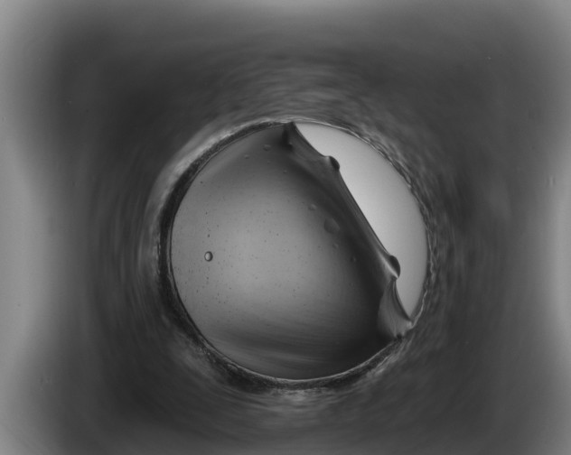 X0000086320295200704202027