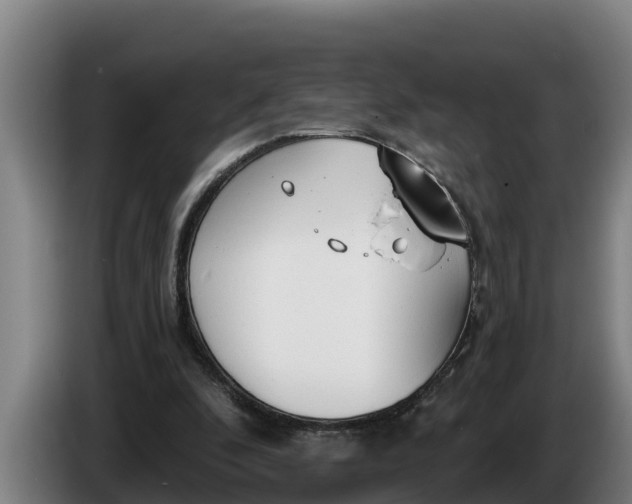 X0000086320296200704202027