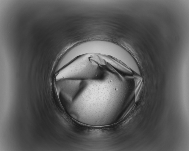 X0000086320298200704202027