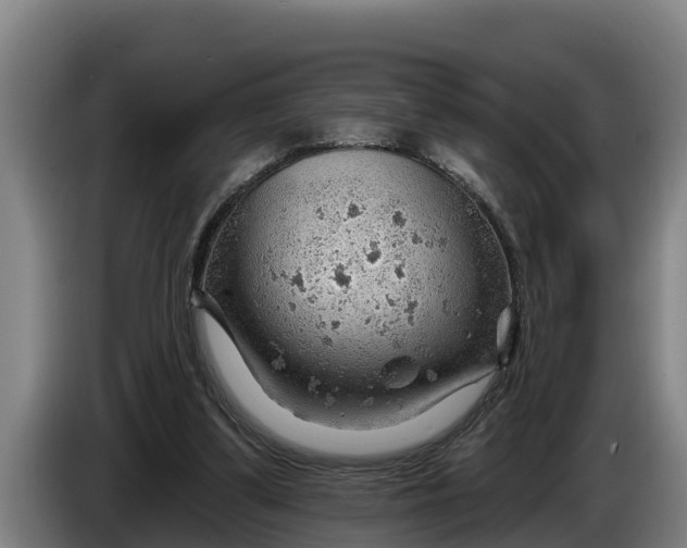 X0000086320299200704202027
