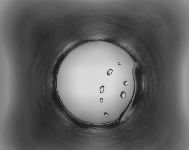 X0000086320300200704202027