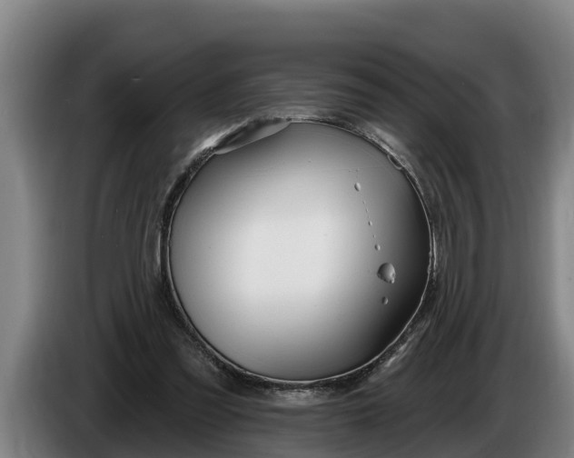 X0000086320301200704202027