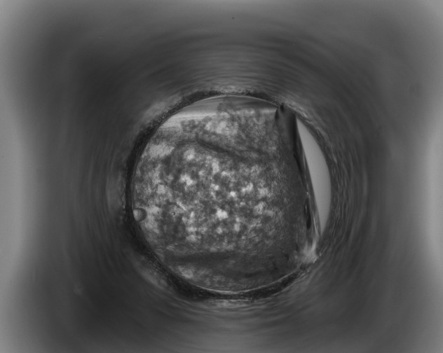 X0000086320303200704202027