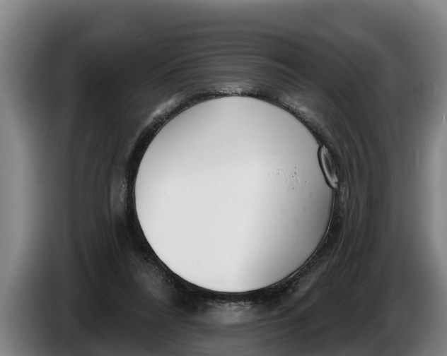 X0000086320304200704202027