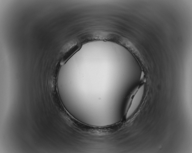 X0000086320305200704202027