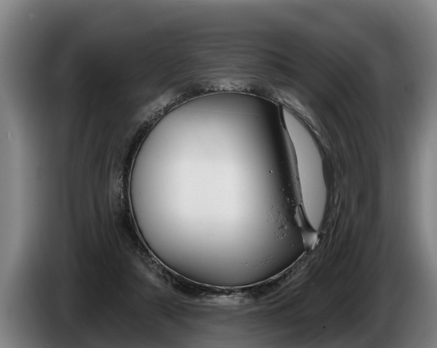 X0000086320306200704202027