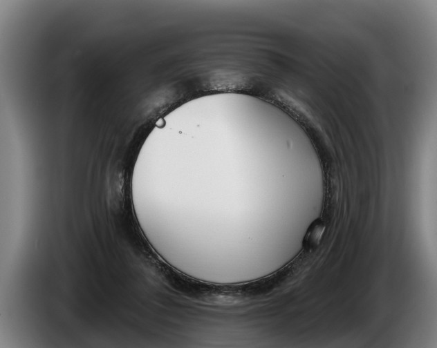 X0000086320308200704202027