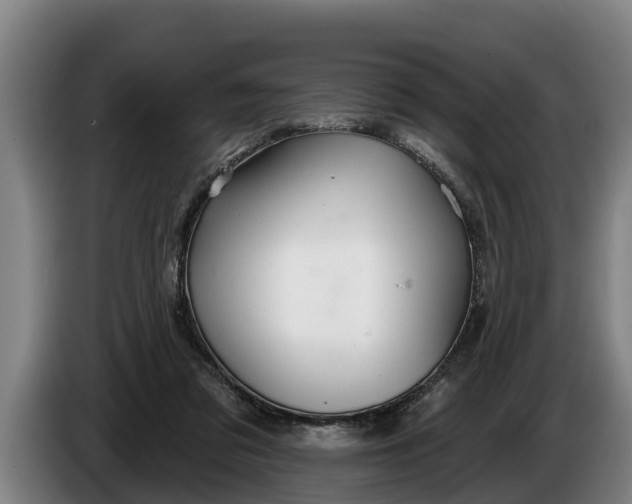 X0000086320309200704202027