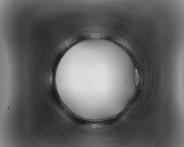 X0000086320310200704202027