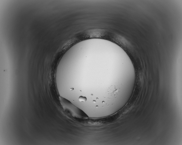 X0000086320311200704202027