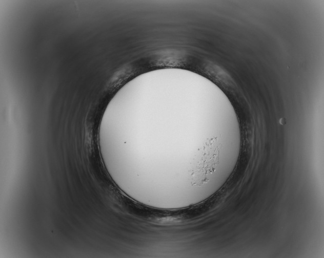 X0000086320312200704202027