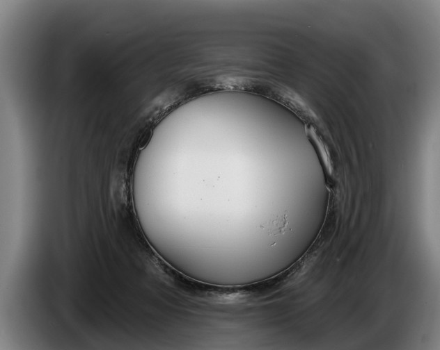 X0000086320313200704202027