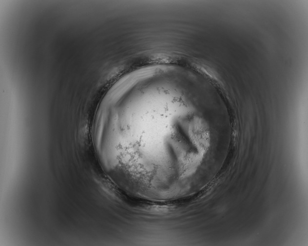 X0000086320314200704202027