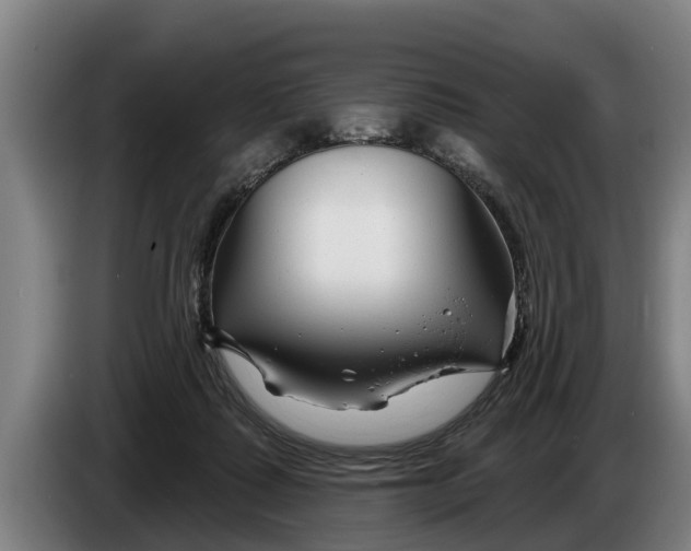 X0000086320315200704202027