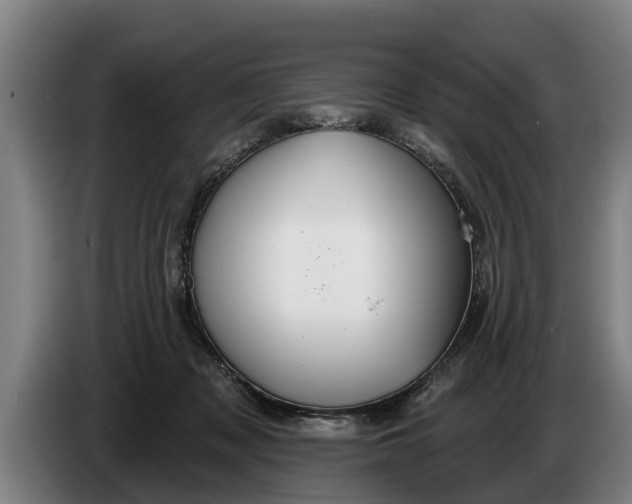 X0000086320317200704202027