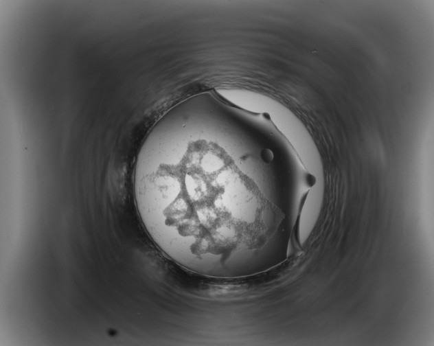 X0000086320319200704202027