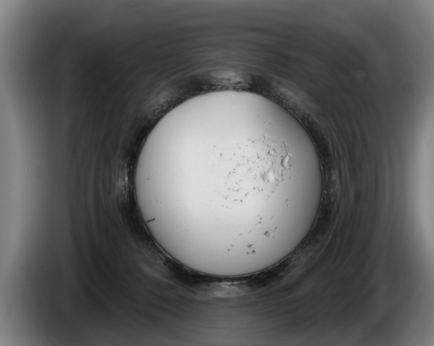 X0000086320320200704202027
