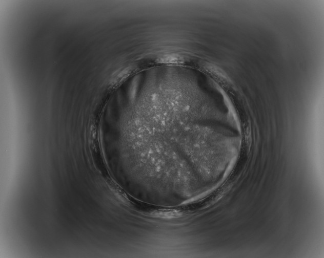 X0000086320322200704202027