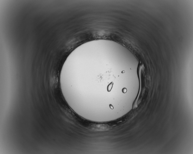 X0000086320324200704202027