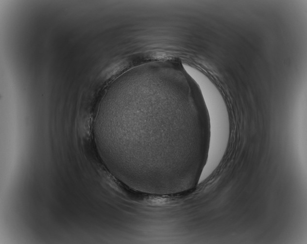 X0000086320325200704202027