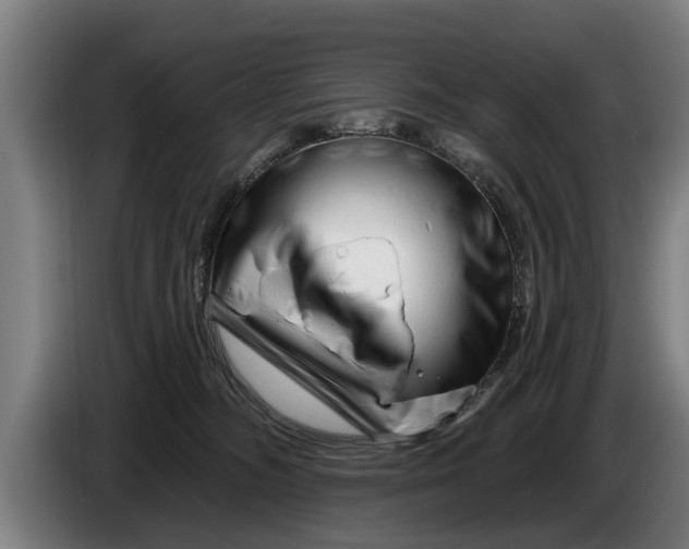 X0000086320326200704202027