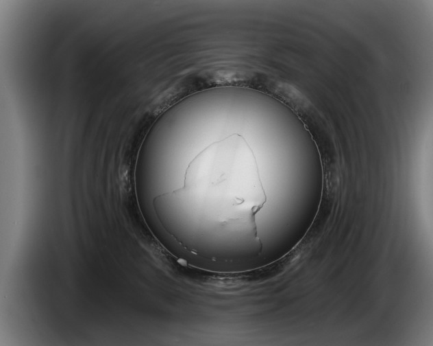 X0000086320327200704202027