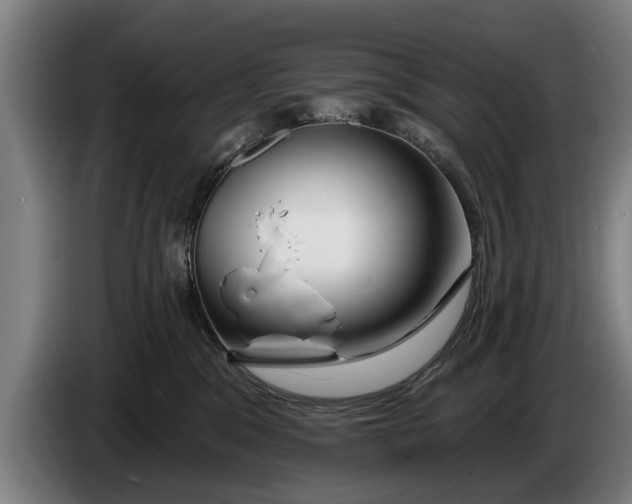 X0000086320329200704202027
