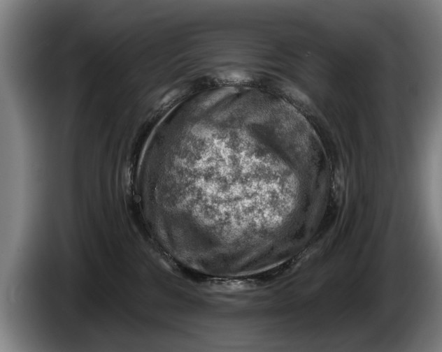 X0000086320330200704202027