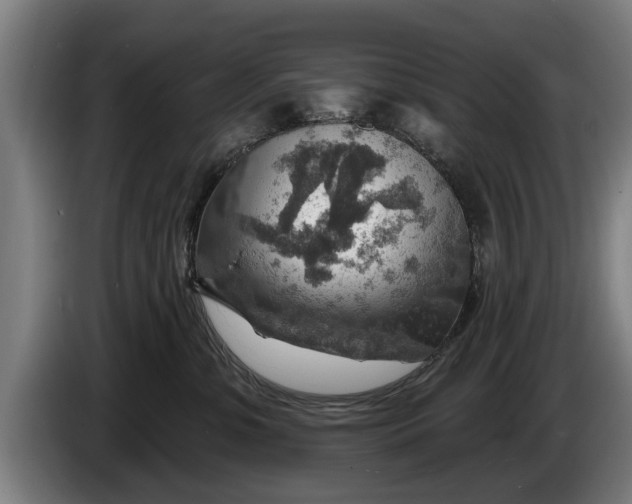 X0000086320331200704202027