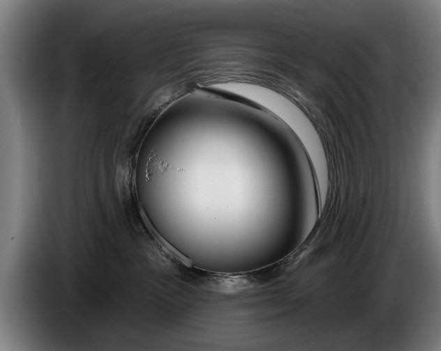 X0000086320333200704202027