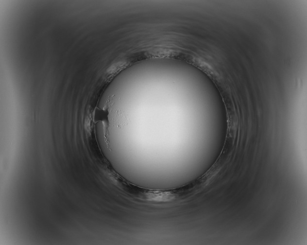 X0000086320334200704202027