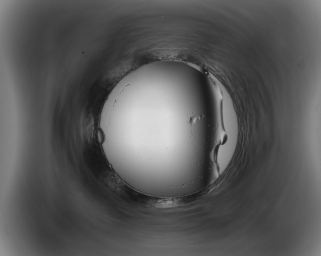 X0000086320335200704202027