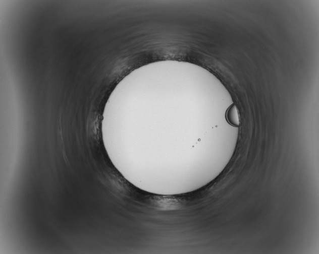 X0000086320336200704202027