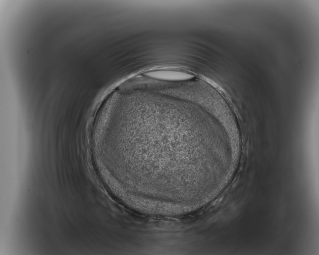 X0000086320337200704202026