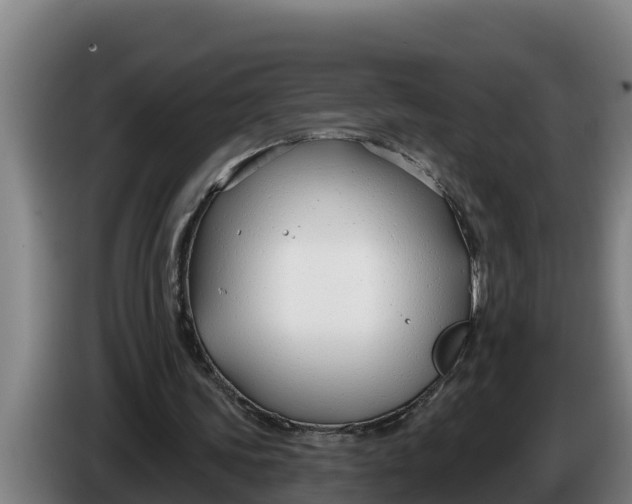 X0000086320339200704202026