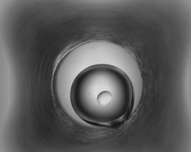 X0000086320340200704202026