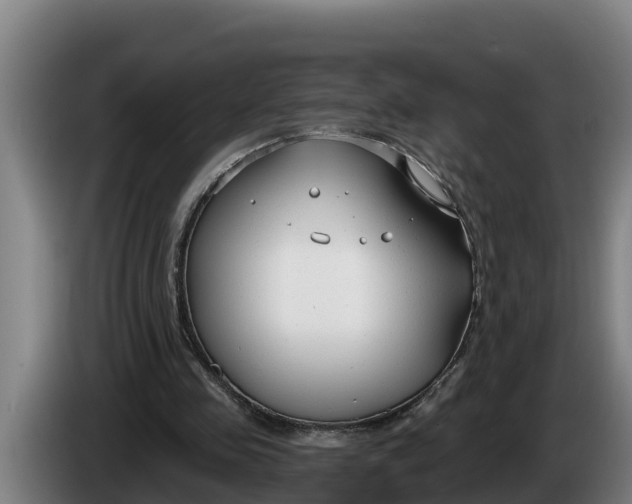 X0000086320341200704202026