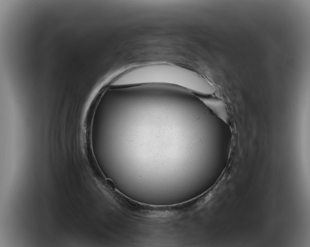 X0000086320342200704202026